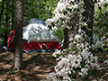 Campground in spring