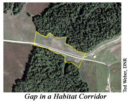 Aerial Photo showing Gap in Habitat Corrdidor