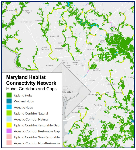   Maryland Habitat Connectivity Network Map Questions about this map please call 410-260-8403 