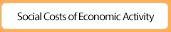 Social Costs of Economic Activity