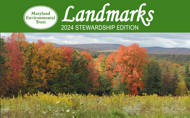 Landmarks 2024 Stewardship Edition