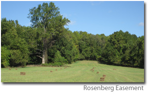 Rosenberg easement