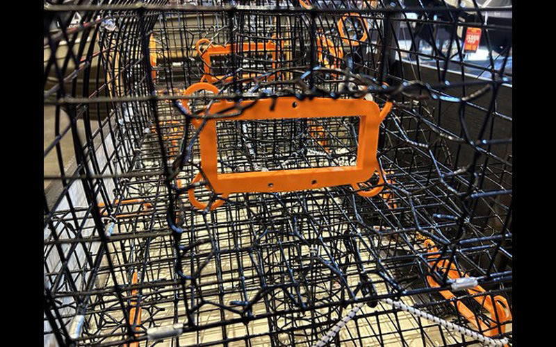 NRP Reminds Maryland’s Recreational Crabbers to Comply with Conservation Laws