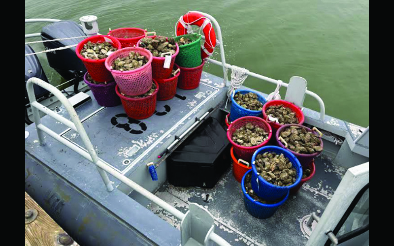 Maryland Natural Resources Police Report: Winter 2025-26