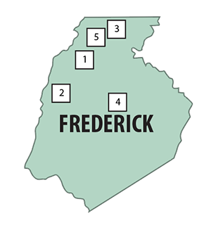 Frederick county