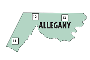 Allegany county