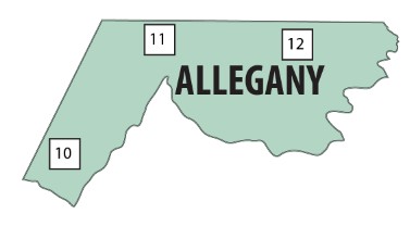 Allegany county