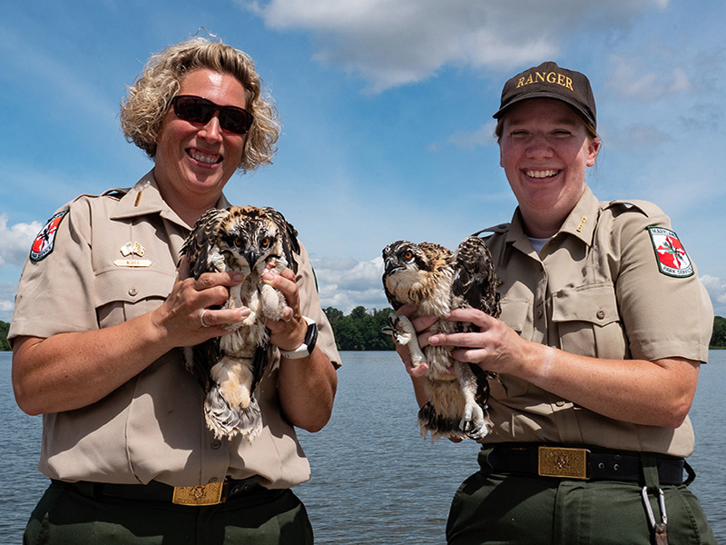 Park Rangers