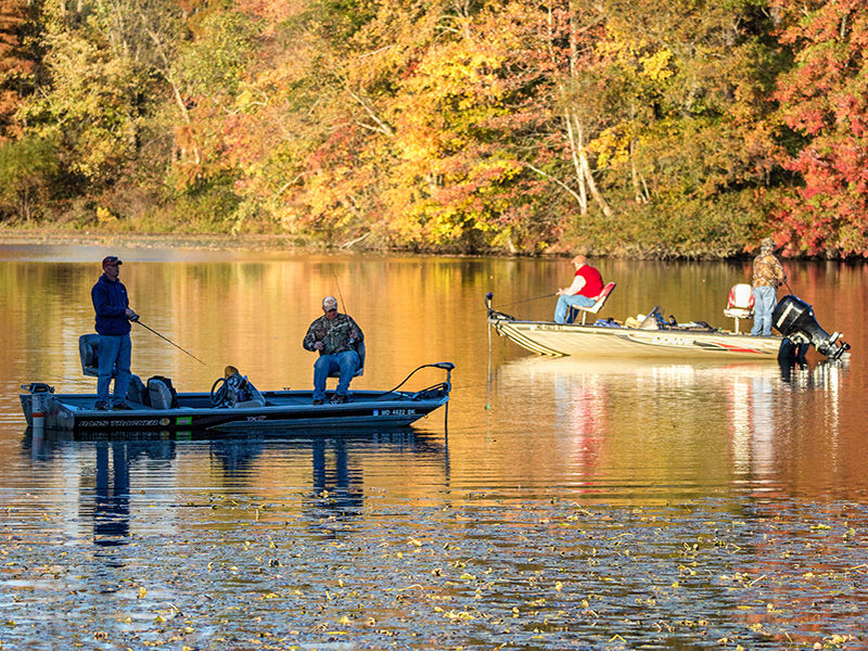 fishing Photo Credit: Fishing Friends by Reinhart Sahmel