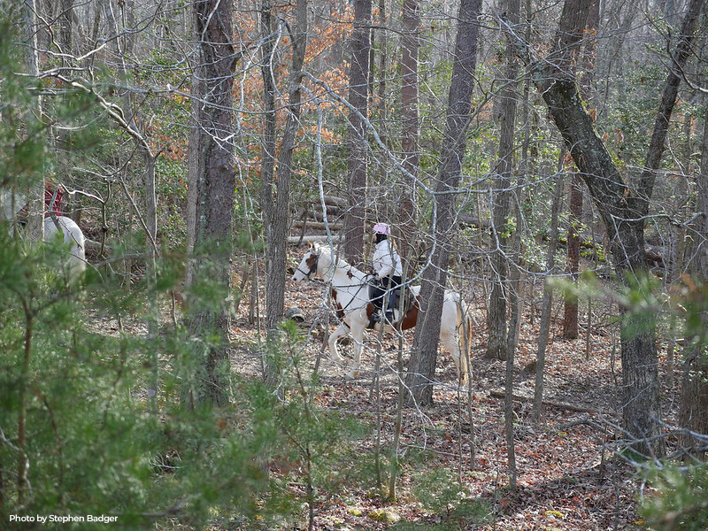 person on horse