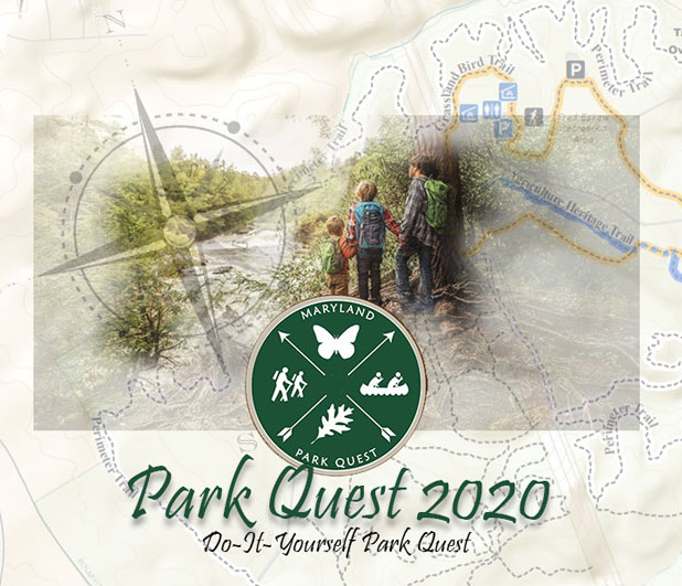 Park Quest 2020 Diy Do It Yourself Park Quest
