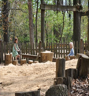 Sand area with tree stumps and Play equipment