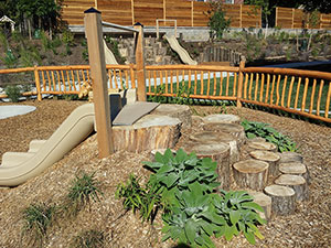 Nature Play Spaces Elements - Climbing Activities