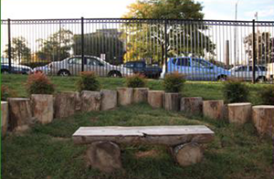 Log Table with Tree Stump Seating at Johns Hopkins Homewood Early Learning Center
