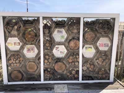 examples of wood bug houses