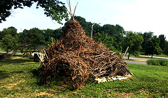 Fort made from tree branches