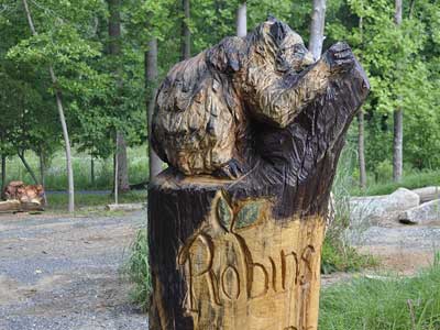 Bear carving as nature center sign