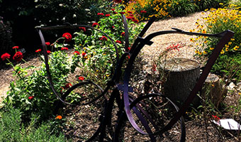 Hershey Gardens, flowers and a butterfly sculpture