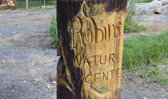 Nature Center name carved into a tree with a bear on top