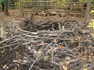 Natural Play Spaces - Brookside Nature Center