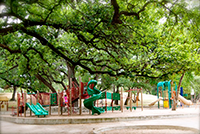 Playground in shady park in Austin TX