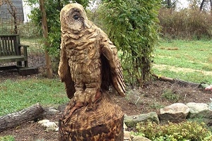 Log carving of an owl