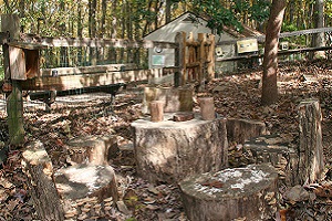 Child-size tree stump seating area