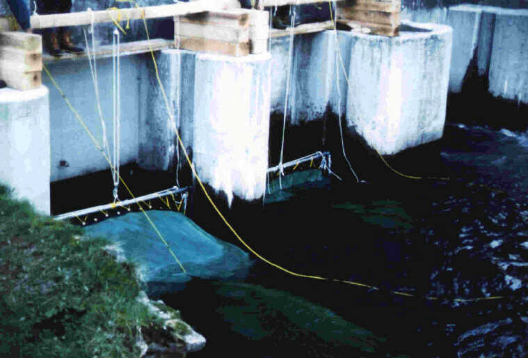 Entrainment Study Nets below Deep Creek Station Powerhouse