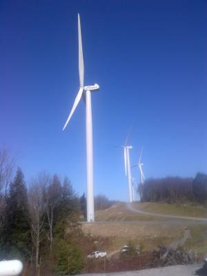 View of Roth Rock Wind Farm