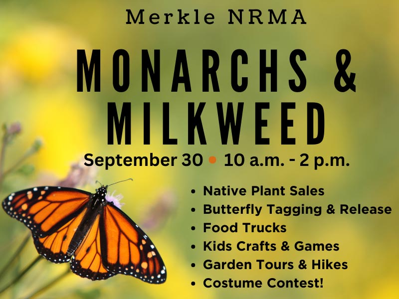 Monarchs & Milkweed