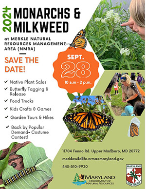 Flyer Monarchs & Milkweed 2024 - English