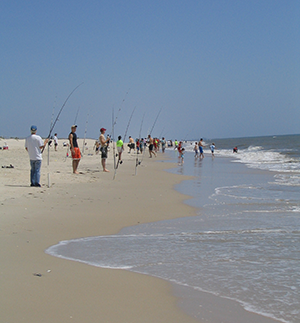 Guests fishing on Assateage State Park Beach