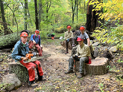 group in front of tree