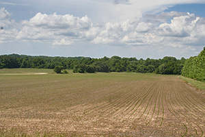 Farm land at Chapel Point State Park