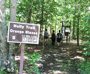 Cedarville State Forest Holly Trail