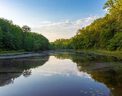 Spring Reflections at Cedarville State Forest, photo by Terry Thomas