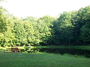 Fishing Pond at Dans Mountain State Park