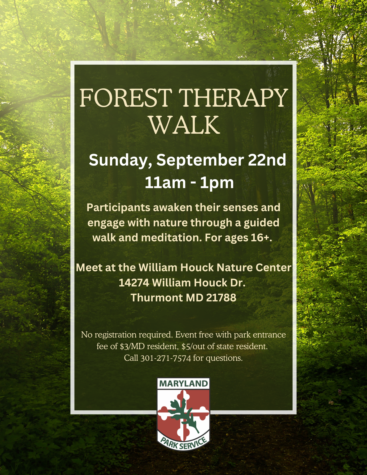 Forest Therapy Walk