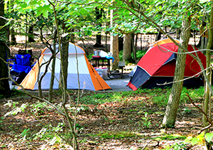 GBSP_Camping.png