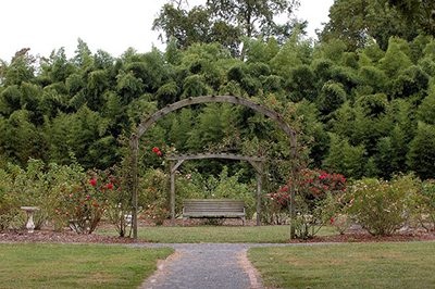 Garden at Greenwell State Park