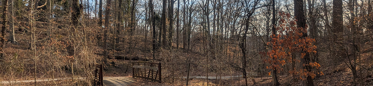 Gwynns Falls. Photo by Rachael Pacella