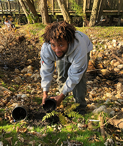MCC Member planting native plants