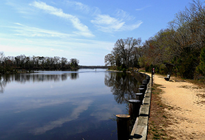 Trail along the Choptank River in Martinak State Park