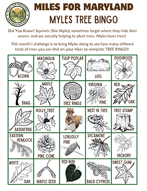 Links to pdf version of myles tree bingo