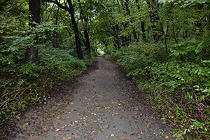 Trail in North Point State Park