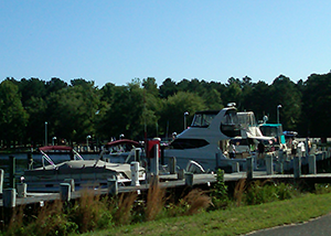 Boats Docked in Pocomoke River State Park