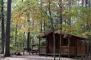 Mini Cabin in Pocomoke River State Park