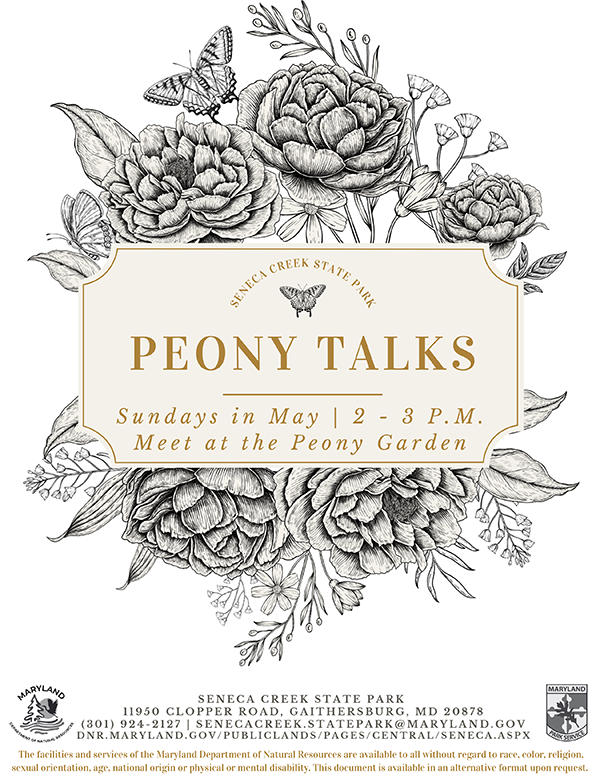 links to pdf version of Peony Talks event at Seneca Creek flyer