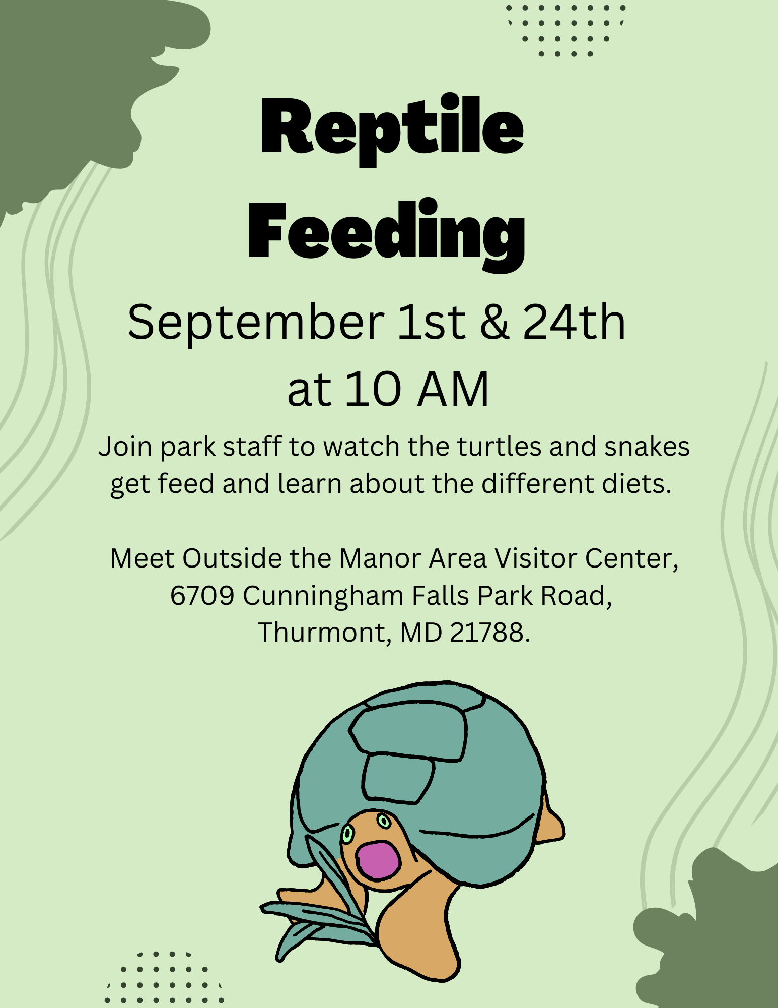 Reptile Feeding