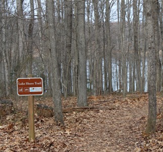 Lake Shore Trail